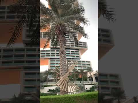 view of the royal atlantis hotel in palm jumeirah dubai #  #dubaiattractions #travel#love A#life