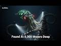 POV: ROV Encounters a Massive Sea Monster at 8,000 Meters