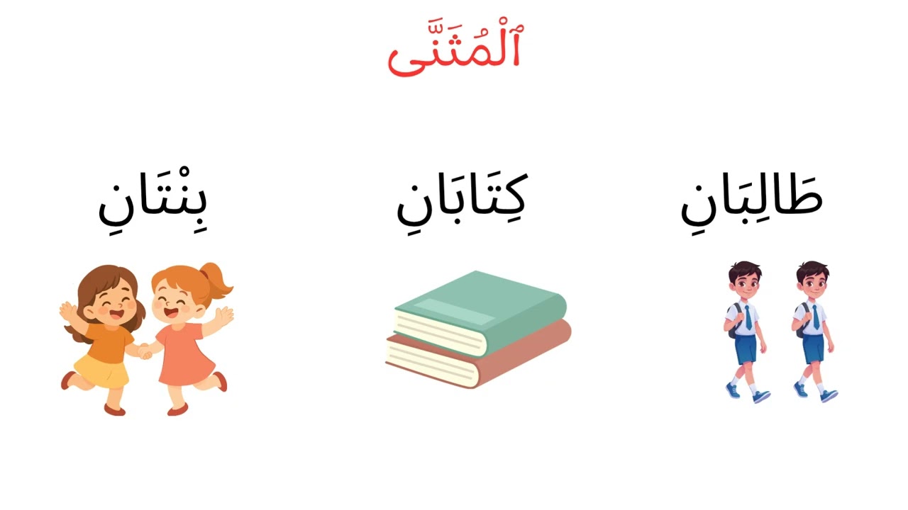 تعلم المفرد والمثنى والجمع في 5 دقائق للمبتدئين