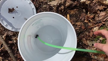 Sap buckets maple sugaring season is done!  Let’s clean up!