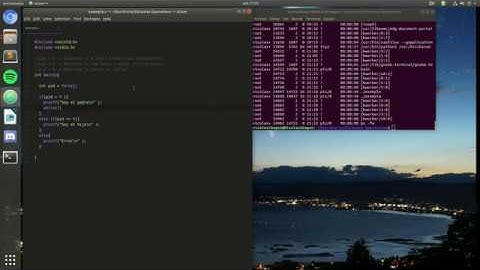 Ejemplo función Fork en lenguaje C