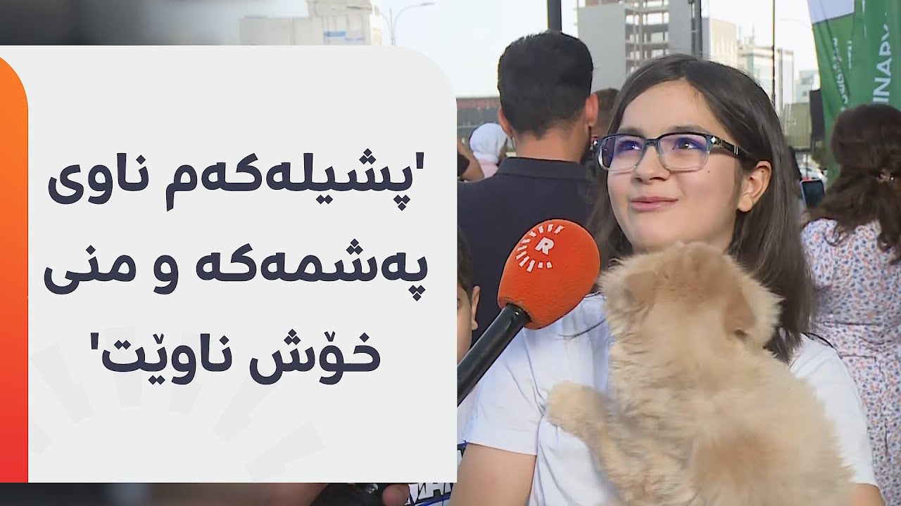 ئەم منداڵە پشیلەکەی لە کێبڕکێی هەڵبژاردنی شاجوانی پشیلە لە سلێمانی بەشدارە و دەڵێت: منی خۆش ناوێ