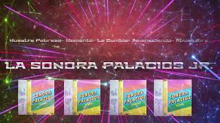 Video thumbnail of "La Sonora Palacios Jr. ..." Nuestra Pobreza  Momento  La Cumbia- Amaneciendo  Abusadora  "♫♫♫♫"