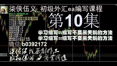 外汇_柒侠伍义_MT4EA_MQL4初级编写编程速成班课程 第10集 编写不要黑天鹅
