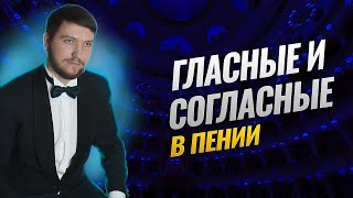 Гласные и согласные в пении| Певческие форманты