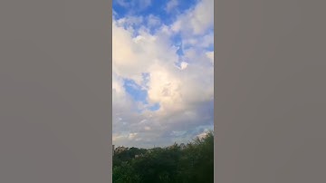 اجمل تلاوة قصيرة ❤/ارح مسمعك 🎧اجمل حالات واتس اب دينية🌹مقاطع دينية قصيرة💖