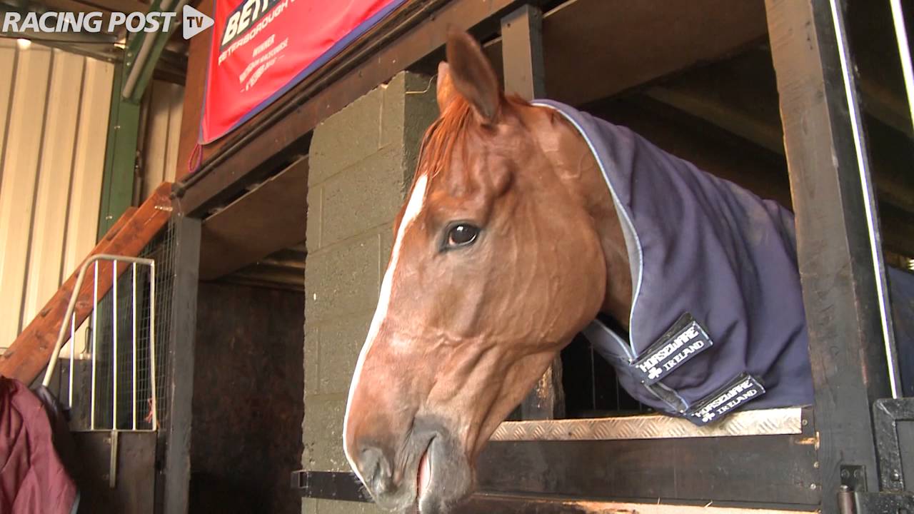 stable tour dan skelton