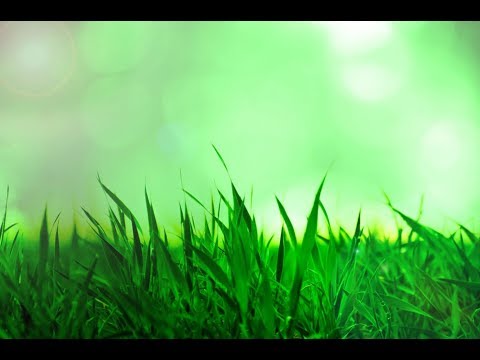 第２回ＧＣ杯　雅能ノト視点