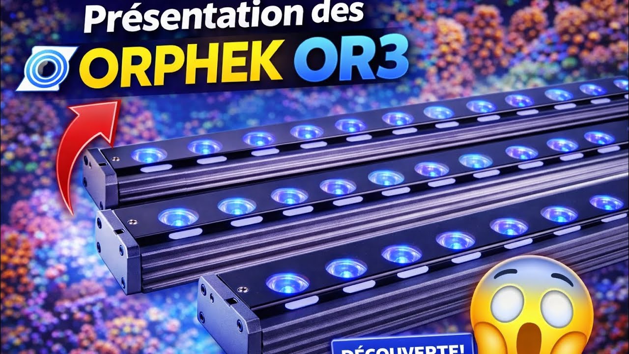 Video of OR3 Blue Plus LED Bar by Reef Belon TV France •Orphek