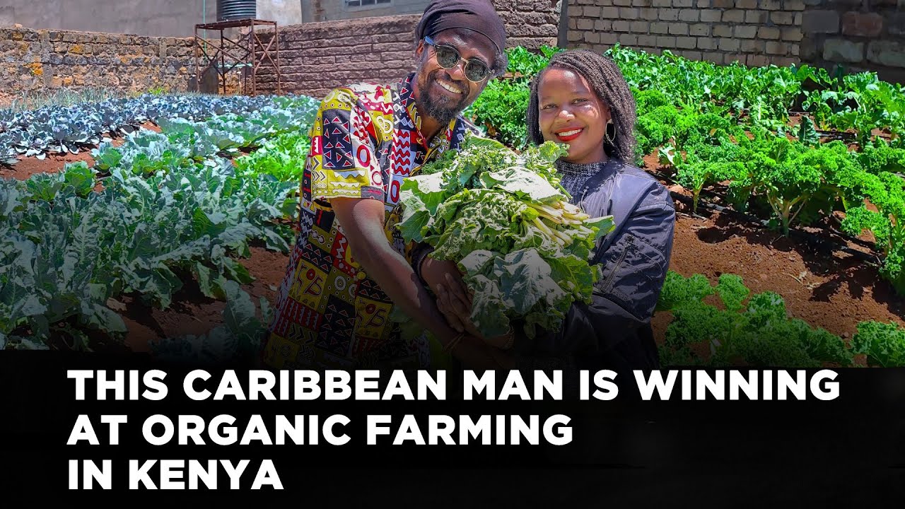 ⁣He Rejected Western Food Systems and Now Practices Organic Farming in Kenya | Lynn Ngugi Network