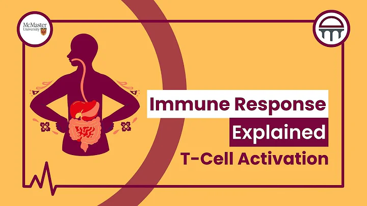 Immune Response Explained: T-Cell Activation