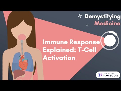 Immune Response Explained: T-Cell Activation