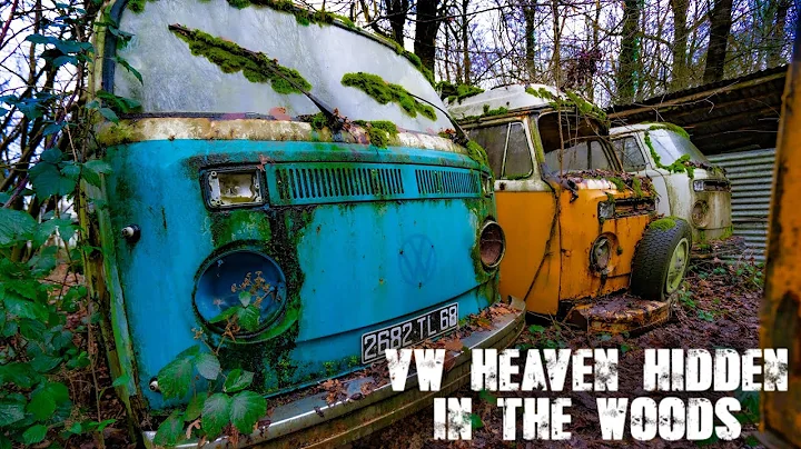 Rare VW classics hidden in the woods abandoned for 50 years (CAR GRAVEYARD)