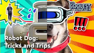 Robot Dog: Tricks and Trips