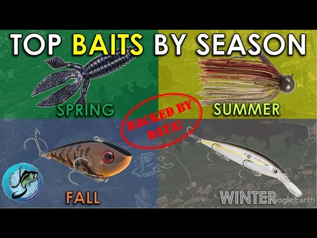 Best Bass Fishing Baits In Each Season Backed By Data! Best, 59% OFF