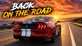 Saving the Rarest Shelby GT500 I've Ever Found