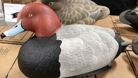 Redhead Decoy Comparison
