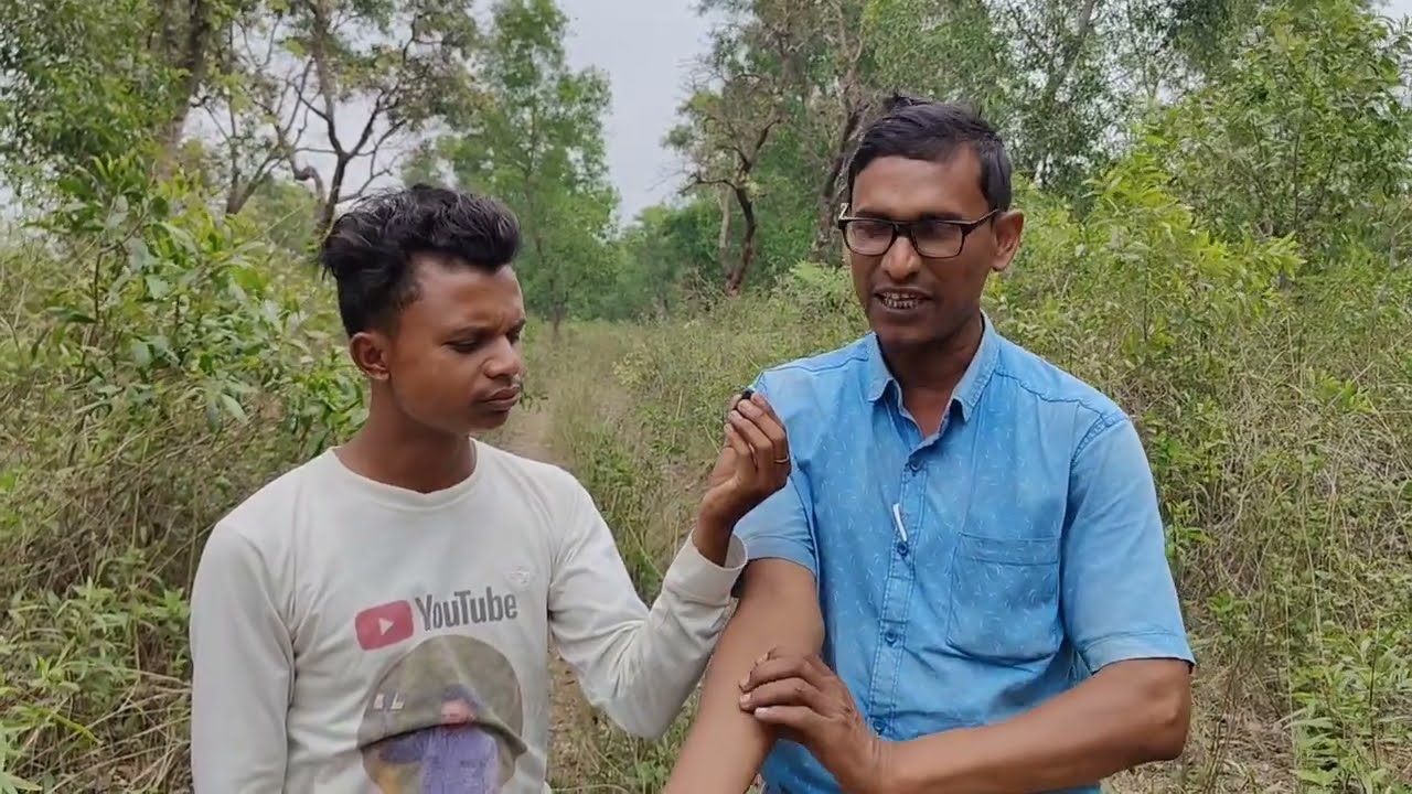বড়ো বাবা কি বলল এই বন নিয়ে