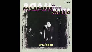 Watch Adam Ant Gotta Be A Sin video