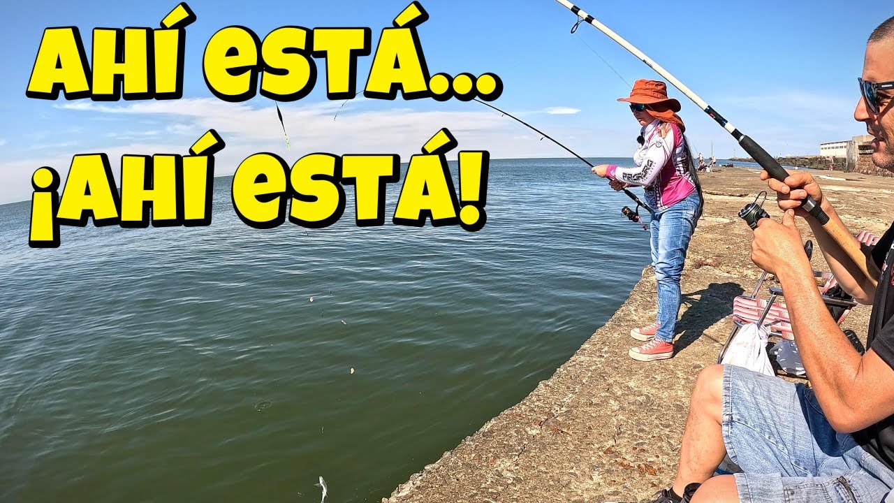 Pejerrey a boya: caña al límite.