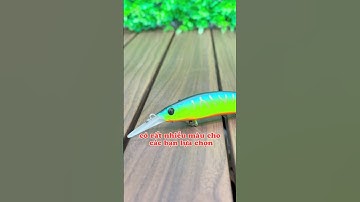 Minnow TSU DW201 , Chuyên Lure Chẽm , Mú … #fishing #hitalure #fish