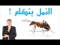 هل تكلم النمل عبد الدائم الكحيل 