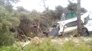 Destroçador florestal Bobcat