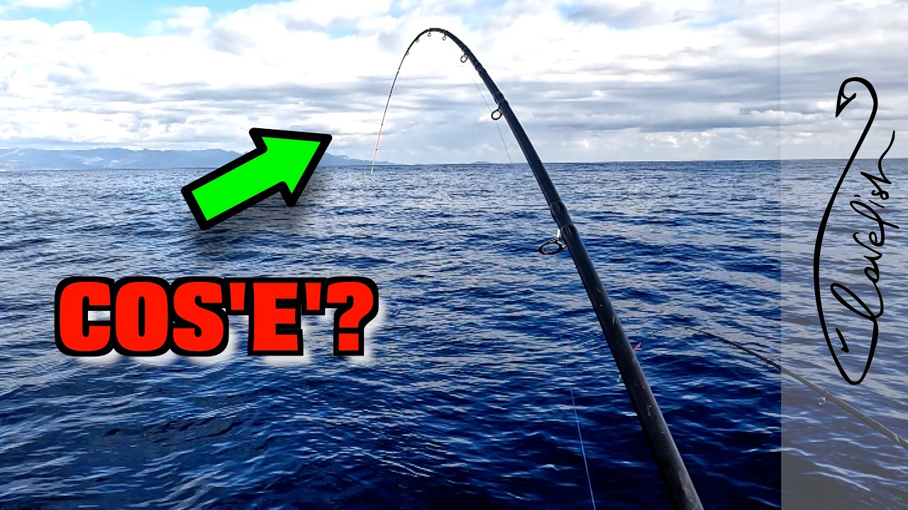 Cosa ABBIAMO PESCATO??