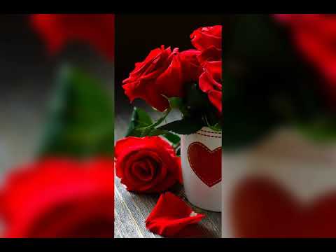 اجمل واروع نغمه حياتي كلها لله 