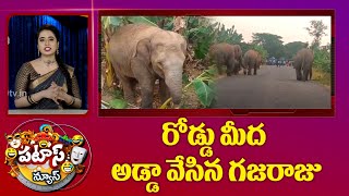 రోడ్డు మీద అడ్డా వేసిన గజరాజు | Elephant Sitting on Main Road | Patas News | 10TV