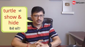 #5 Show and Hide Turtle