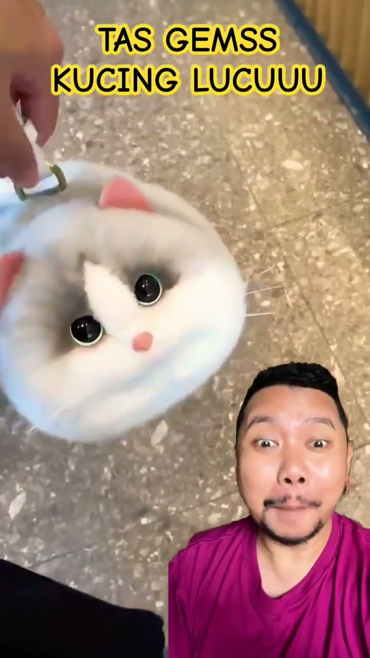 TAS MENGGEMASKAN BENTUK KUCING!!!?? #cat #cute #pets #funny #cutecat