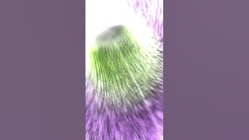 Quantum Superposition: The Heart of Quantum Reality!