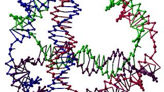 DNA nanotechnology | Wikipedia audio article
