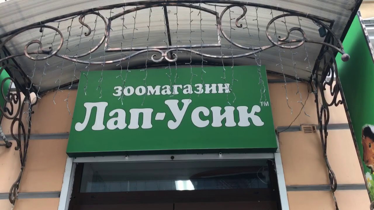 Лапки усики