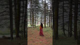 #IntoTheWoods #NatureVibes #PeacefulMoments #Wanderlust #ForestMagic #NatureHealing #ScenicViews