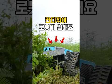이제 로봇이 잔디를 깎아줘요 #잔디로봇