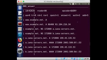 Local DNS Attack Lab