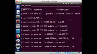 Local DNS Attack Lab
