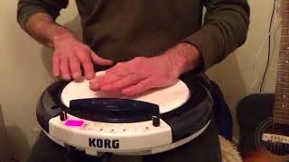 Korg Wavedrum Global Tabla
