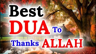 Best DUA to Thanks Allah | Humble Dua To Thanks Allah