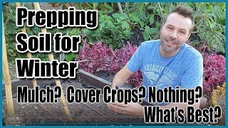 It???s the first of november and if you are in northern hemisphere,
winter is setting in. now depending on your particular climate... that
can mean differ...