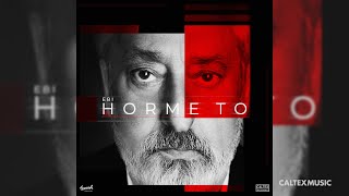 Ebi - Horme To (Official Audio) | ابی - هرم تو