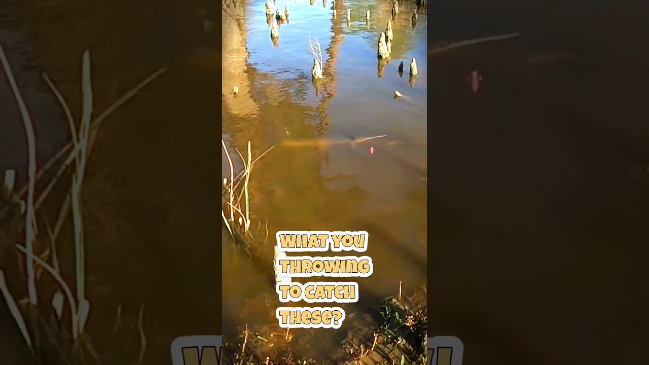 Creek monsters too big for a bfs spool? 