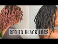 Dyeing My Locs JET BLACK | Beginner Friendly