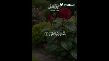ولسوف يعطيك ربك فترضى 🌿 القارئ ماهر المعيقلي 🌿