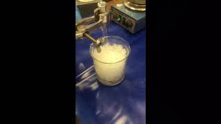 Chem 101, Experiment 7