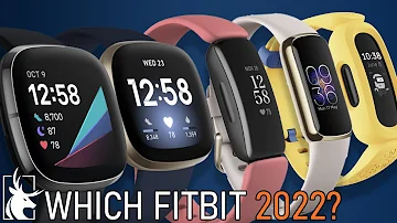 Was kann man alles mit einer Fitbit?