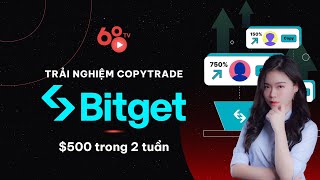 Trải nghiệm Copytrade trên sàn Bitget - $500 trong 2 tuần?