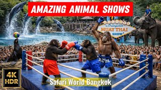 Download Lagu 🇹🇭 4K HDR | Amazing Animal Shows at Safari World 🦁 | Bangkok Thailand MP3